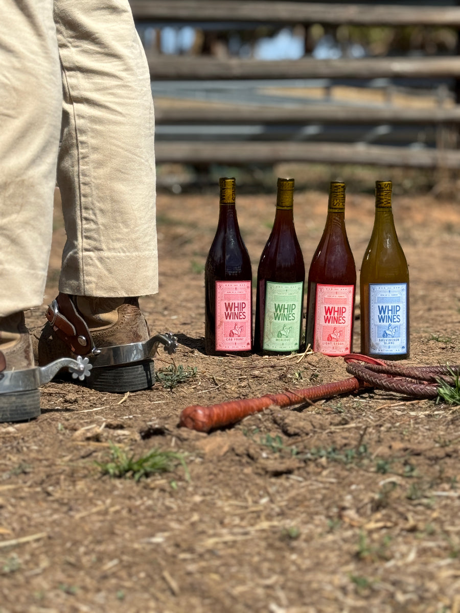 Whip Wines Mixed Pack