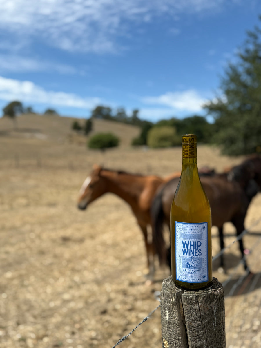 WW 2024 Sauvignon Blanc